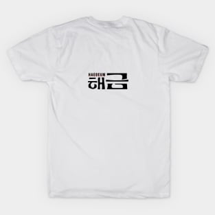 AgustD - Haeguem (front back printed light theme) T-Shirt